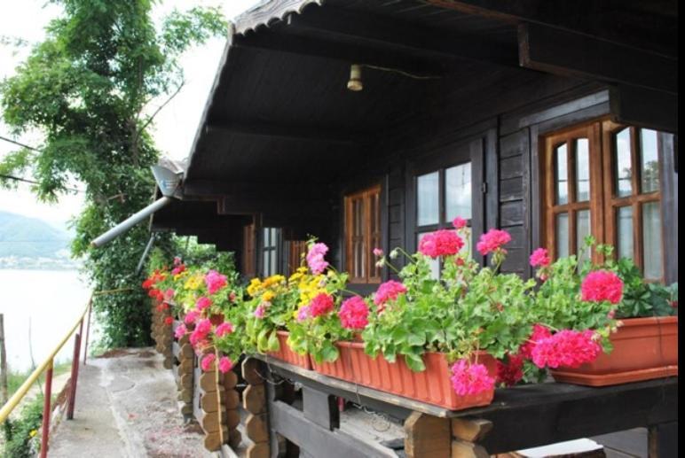 Gratca Nr 164 Orsova Vila Exterior foto