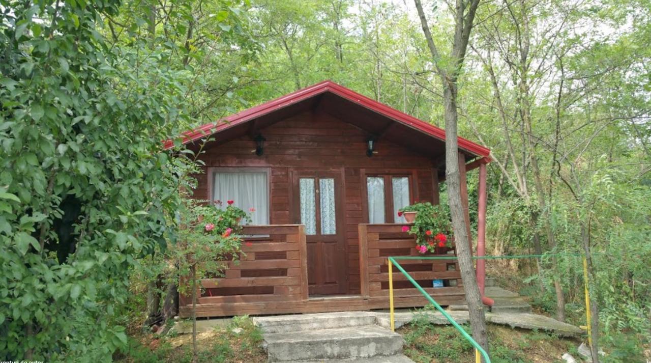Gratca Nr 164 Orsova Vila Exterior foto
